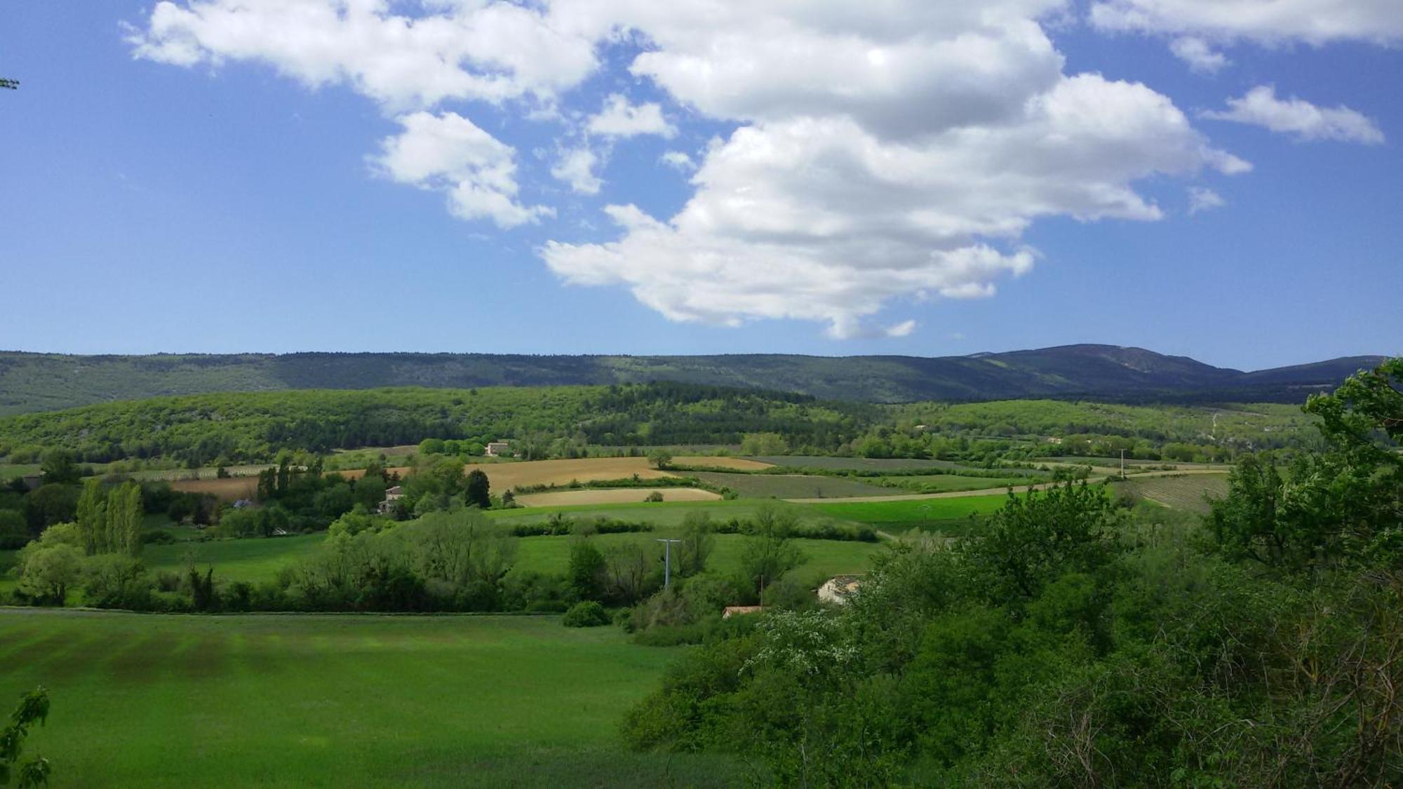 Le Grain De Lavande - Mont Ventoux Sault-de-Vaucluse Εξωτερικό φωτογραφία